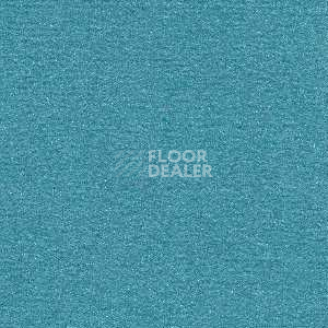 Ковролин Radici Nexus Genziana 8249 фото 1 | FLOORDEALER